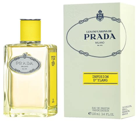 prada ylang perfume|prada infusion d'ylang perfume.